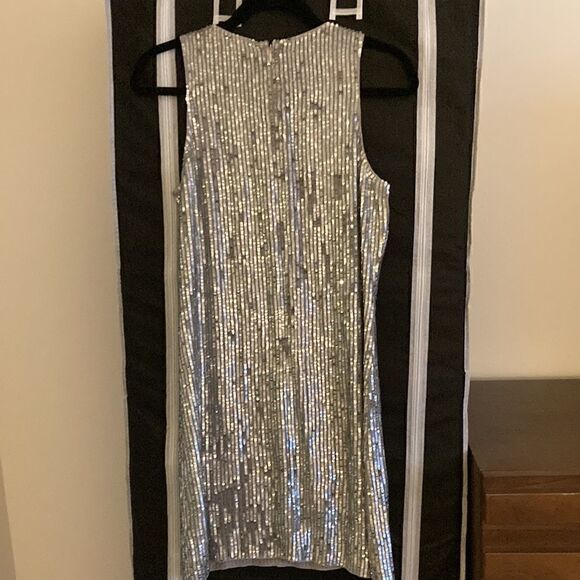 Calypso St Barth Silver Sequin Sleeveless Sheath Dress. Size XS. - Picture 3 of 7